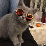 Dog Cat Pet Glasses For Pet Products Little Dog Eye-wear Dog Pet Sunglasses Photos Props Accessories Pet Supplies Cat Glasses - catdoglovers.com